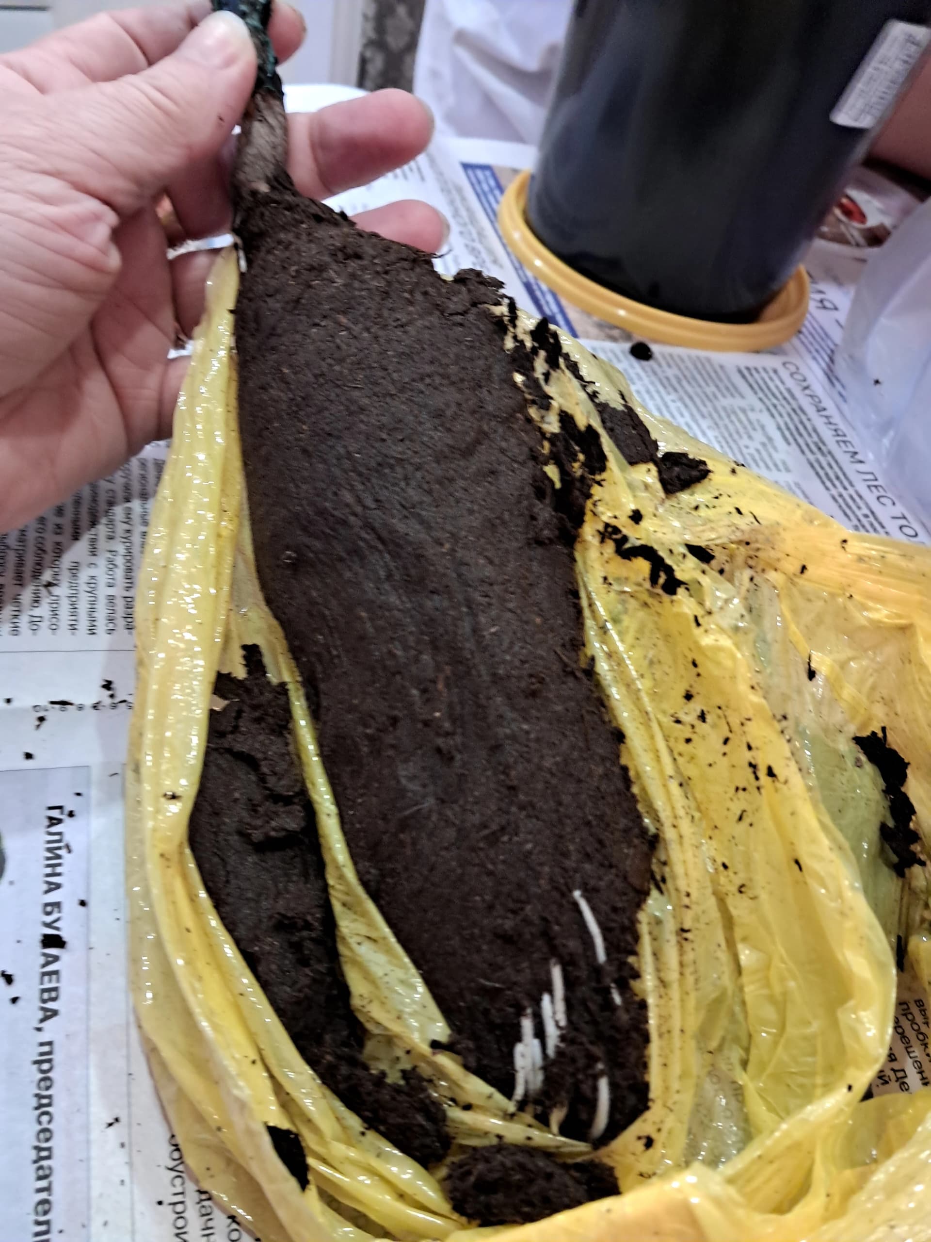 После неудачной попытки, купила новые розочки.