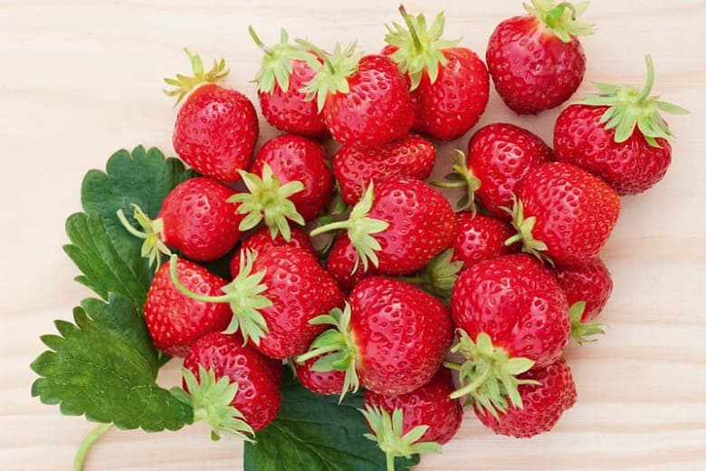 Fragaria vesca 'Mara des Bois' (Лесная земляника)