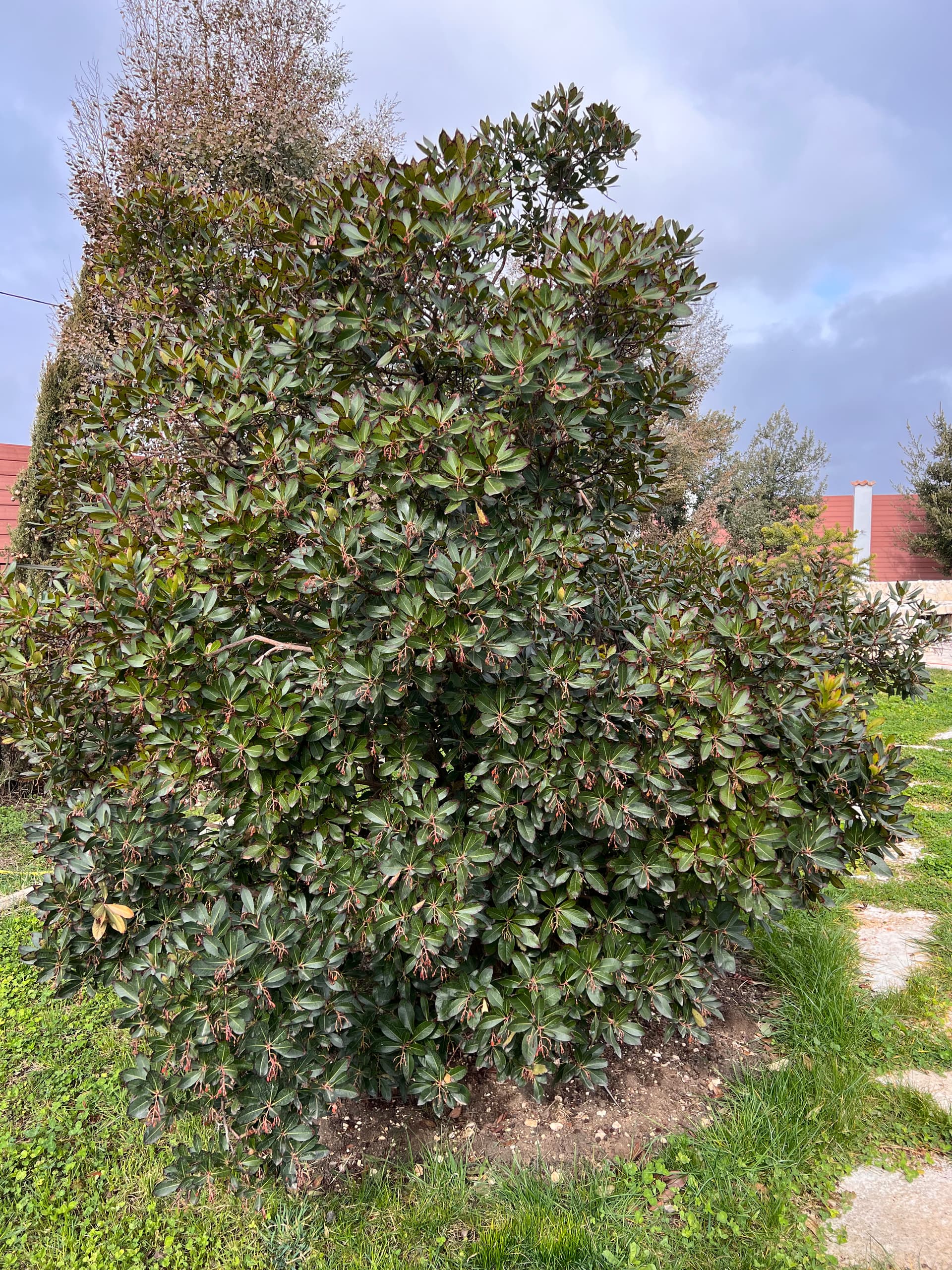 Изображения комментария