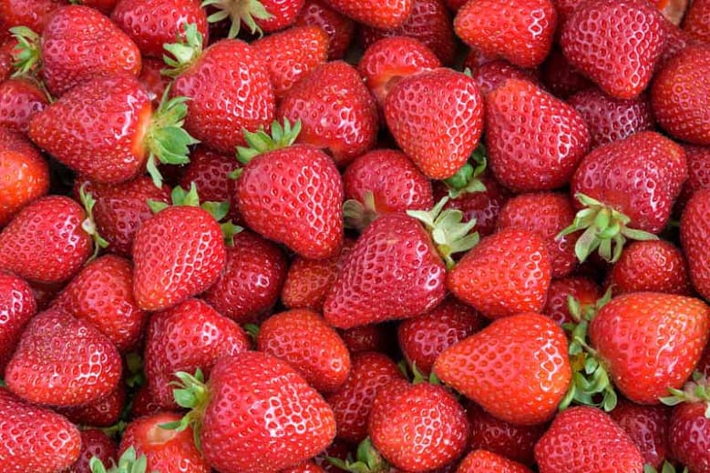 Fragaria x ananassa 'Albion' (Вечнозеленая земляника)