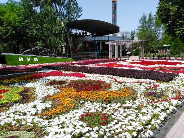 Изображения комментария