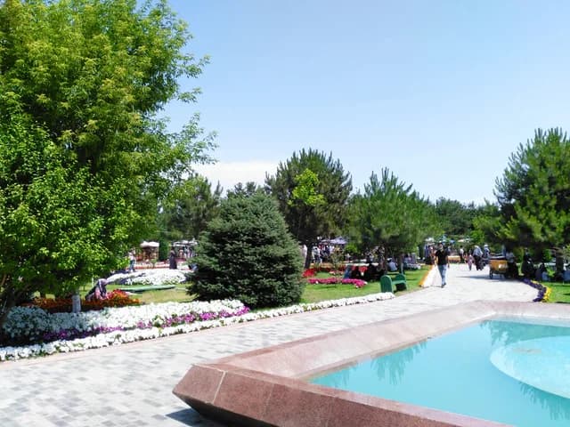 Изображения комментария
