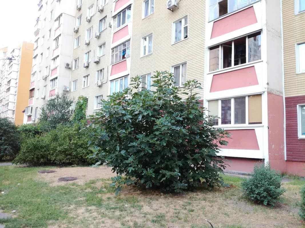 Изображения комментария