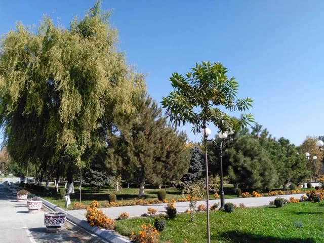 Изображения комментария