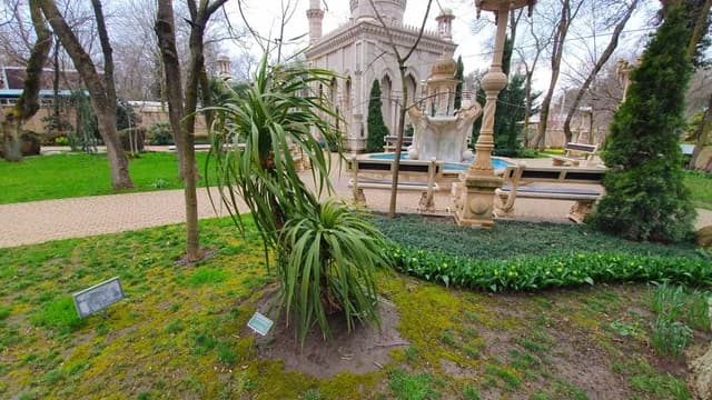 Изображения комментария