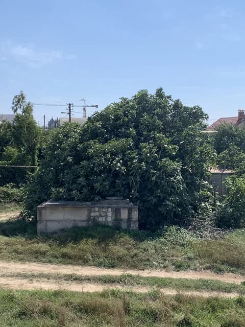 Изображения комментария