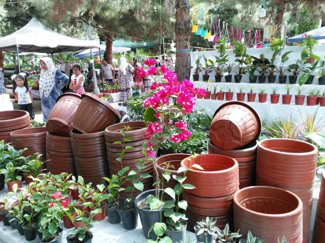 Изображения комментария