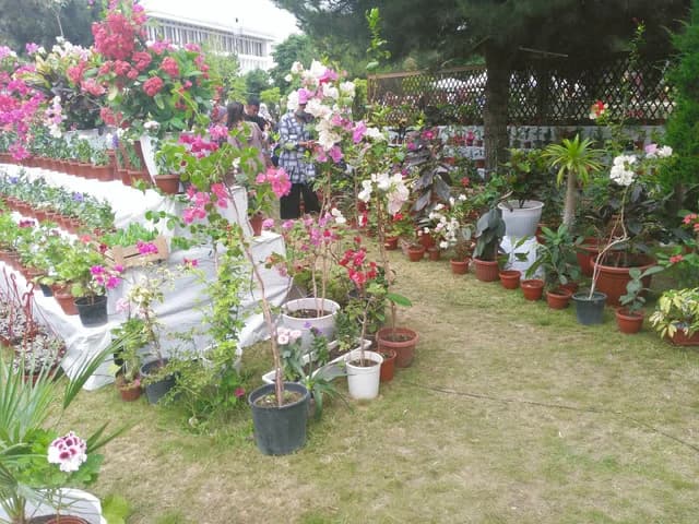 Изображения комментария