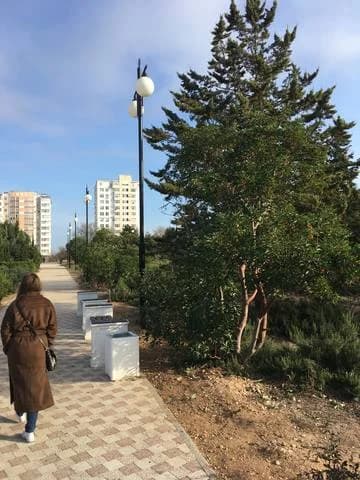 Изображения комментария