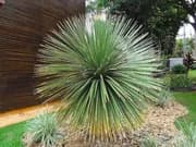 Изображения комментария