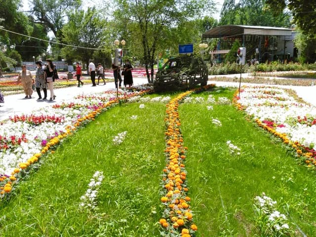 Изображения комментария