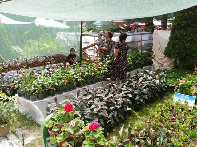 Изображения комментария
