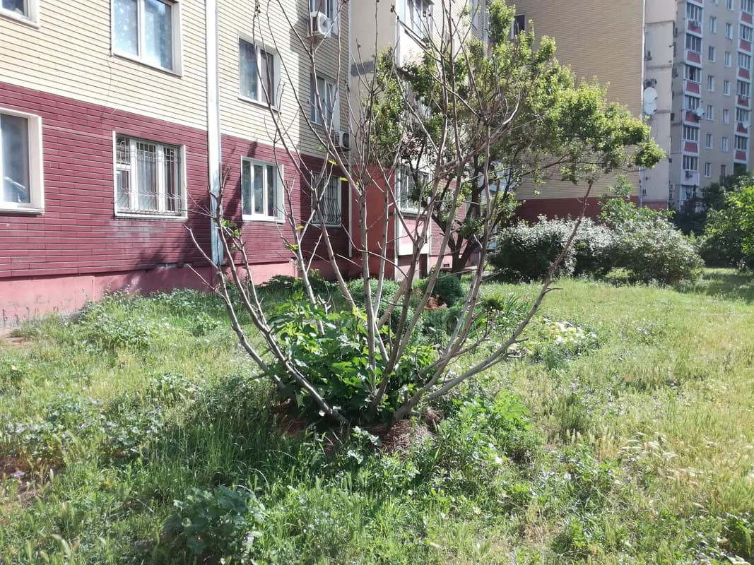 Изображения комментария