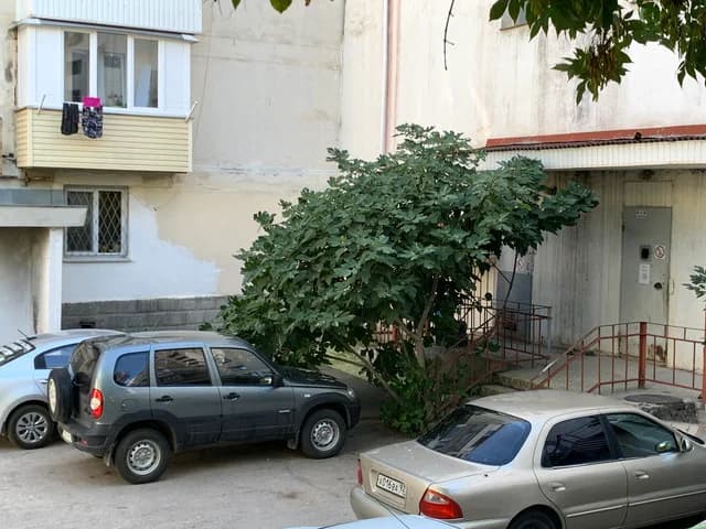 Изображения комментария