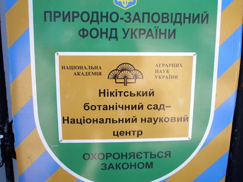 Изображения комментария